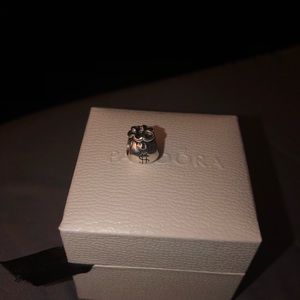 Pandora Money Bags charm